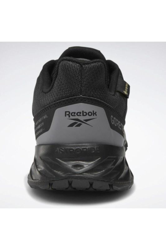 Unisex Black Astroride Tra_l Gtx 2.0 Shoes (ef4179)